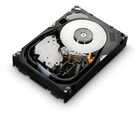 Hitachi Ultrastar 15K600, 600GB (HUS156060VLS600)